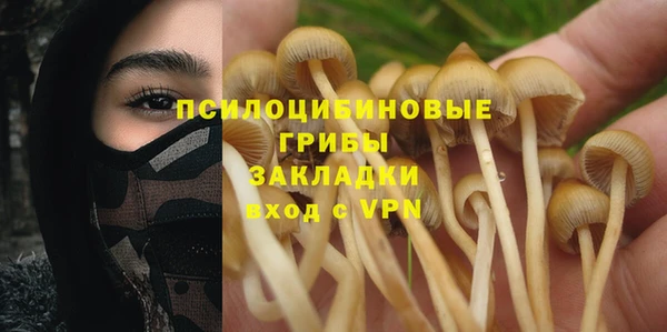 индика Аркадак