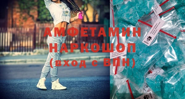 индика Аркадак