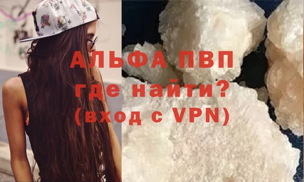 индика Аркадак