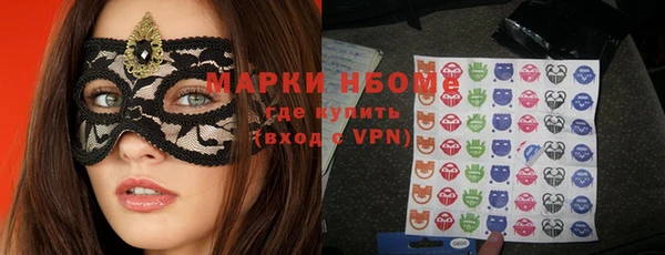 индика Аркадак
