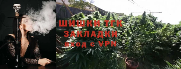 индика Аркадак
