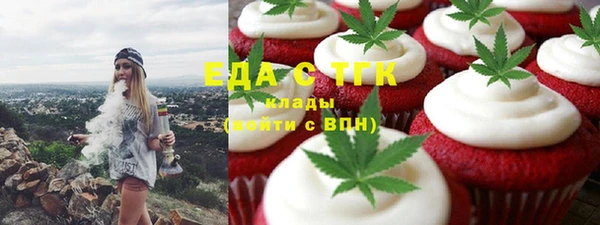 индика Аркадак