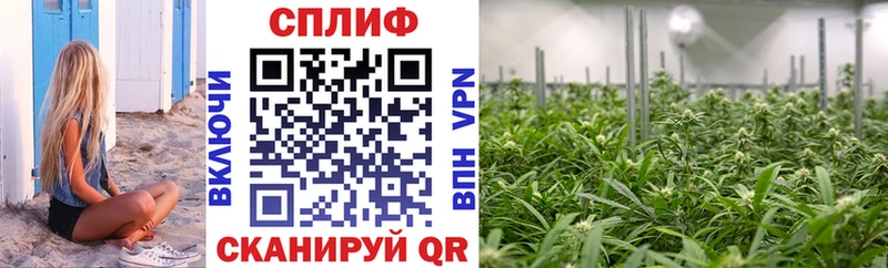 Канабис план  где можно купить   Артёмовск 